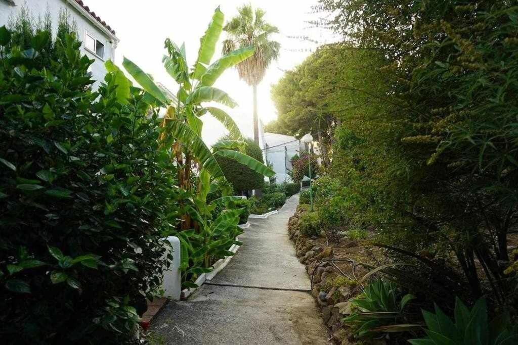 Playa Y Naturaleza エステポナ エクステリア 写真